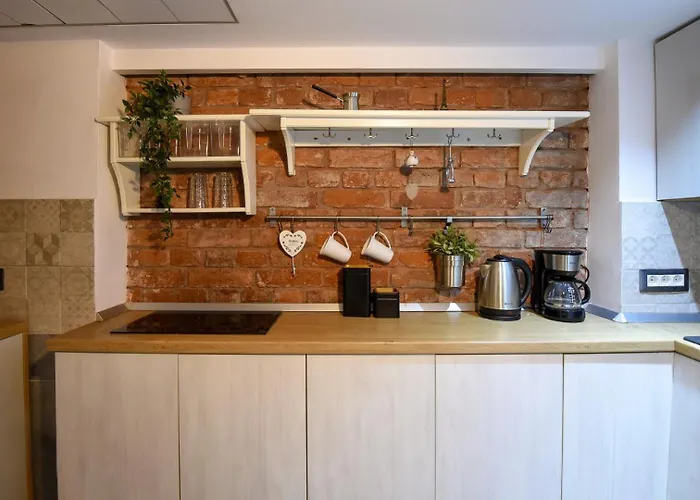 Apartamento Comfort - Duplex-style On Regina Elisabeta *