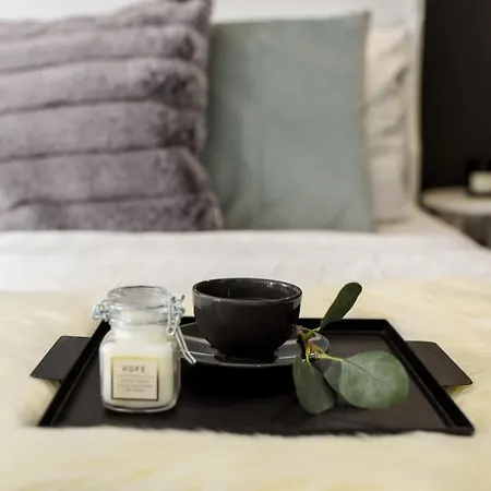 Comfort - Duplex-style On Regina Elisabeta