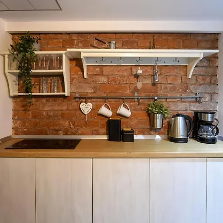 Apartment Comfort - Duplex-style On Regina Elisabeta *