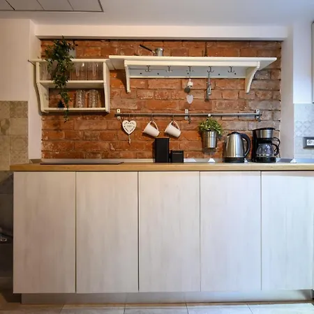 Comfort - Duplex-style On Regina Elisabeta Appartement